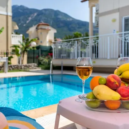 Vila Exclusive With Breathtaking Views Mugla 1006